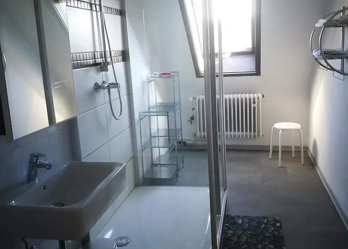 Romaeus ホテル フィリンゲン・シュヴェニンゲン