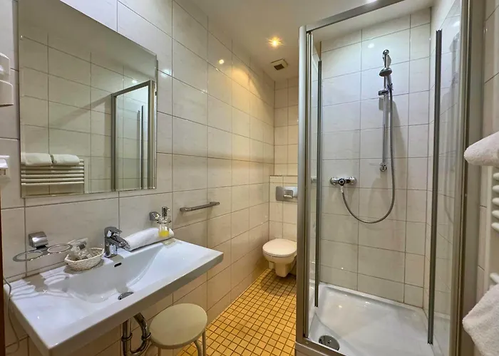 ホテル Romaeus フィリンゲン・シュヴェニンゲン